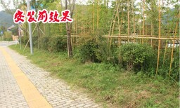 宝丰县锌钢护栏厂区户外绿化护栏图片4