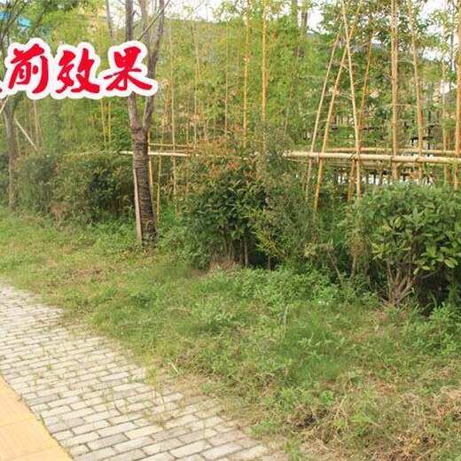 沧州沧县围栏立柱pvc塑钢护栏变压护栏可以买现货