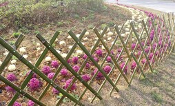 甘州区庭院栏铁艺小区栅栏铸铁花园绿图片4