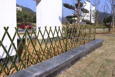 广河县庭院护栏花园竹子竿竹拉网竹片围墙图片4
