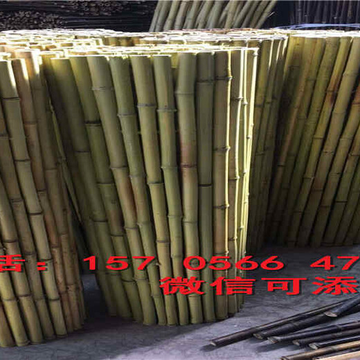 邢台市隆尧县绿化围栏塑钢pvc护栏围栏厂家价格