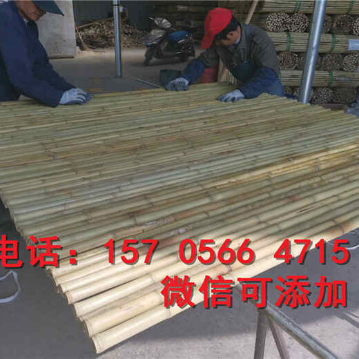靖江市幼儿园人工草皮户外装饰绿色地毯生产厂家