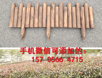 晋江市锌钢护栏围栏铁艺围墙铸铁栏杆图片4