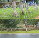 漯河郾城区塑钢花园绿化带栏杆公司