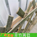 荆州江陵县木栅栏PVC塑钢护栏竹篱笆（中闻资讯）