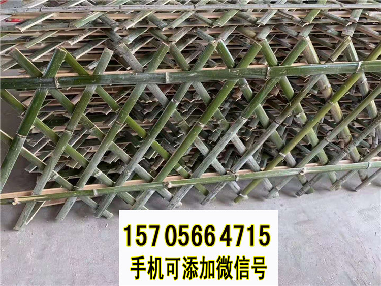 揭阳 竹篱笆pvc塑钢护栏乡村改造竹篱笆栅栏竹护栏 供应