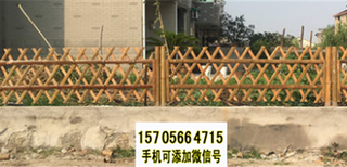 樟树竹篱笆竹篱笆栅栏塑钢护栏塑钢护栏百度图片图片0