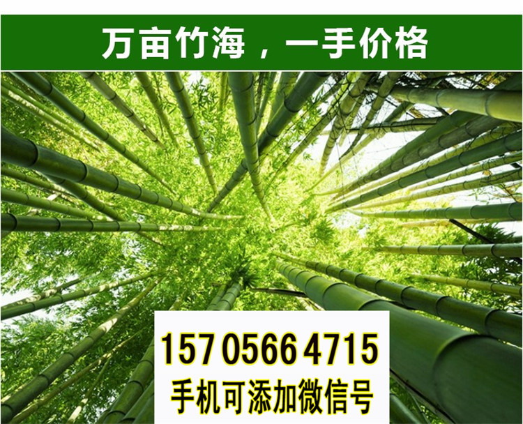 邵阳城步竹栅栏 竹护栏草坪护栏塑料栅栏（中闻资讯）