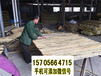武汉汉阳竹篱笆pvc护栏送立柱PVC塑钢护栏厂家使用寿命多长？（中闻资讯）