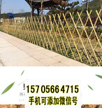 德州宁津县竹篱笆pvc护栏pvc围墙护栏工厂（中闻资讯）图片2