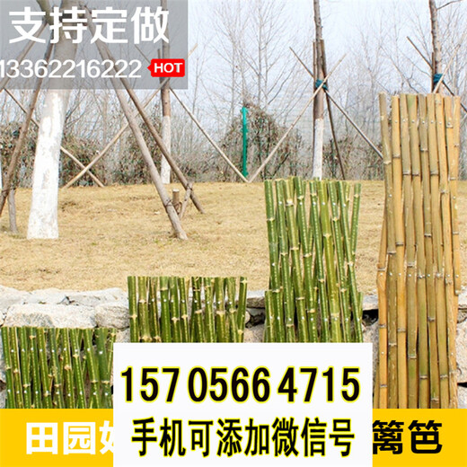 抚州广昌县竹篱笆pvc护栏防腐竹栅栏-30/40/50公分高（中闻资讯）