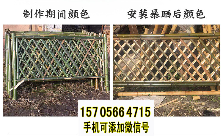 寿光竹篱笆竹篱笆围墙竹子隔断竹子护栏价格