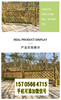山东菏泽竹篱笆pvc护栏实木护栏款式多样化，欢迎下单（中闻资讯）