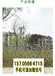 长春德惠竹篱笆pvc护栏绿化带花园栏杆工厂直销（中闻资讯）