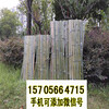 江苏盐城竹篱笆pvc护栏塑钢pvc护栏围栏-30/40/50公分高（中闻资讯）
