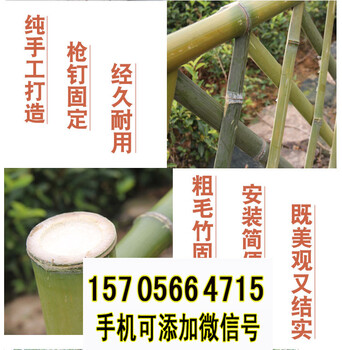 安徽芜湖竹栅栏竹护栏草坪护栏小护栏要快速供货的厂家（中闻资讯）