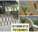 桥东区pvc护栏花园栅栏栅栏塑料塑钢护栏图片