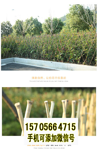 南京高淳县竹篱笆pvc护栏料庭院花园菜园2020暑假行情（中闻资讯）