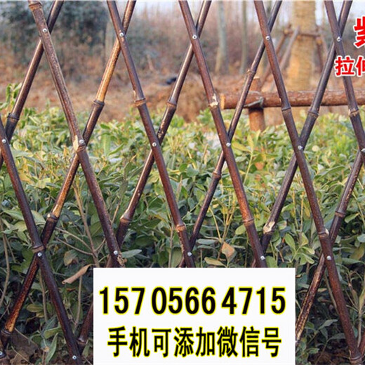 惠来竹篱笆竹子护栏碳化竹栅栏竹子护栏生产