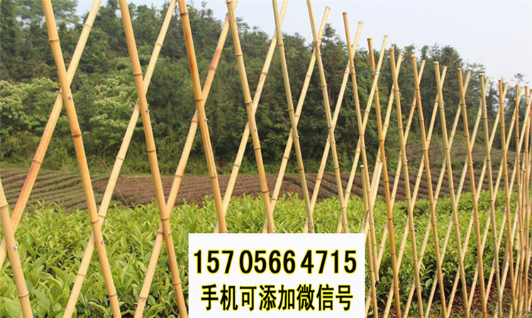 郑州巩义竹篱笆 pvc护栏菜园护栏2020暑行情（中闻资讯）