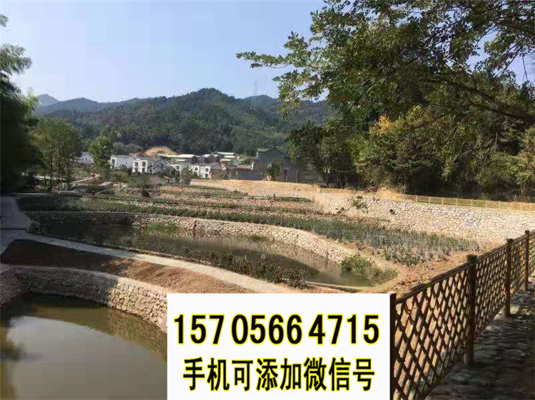 宁陵pvc护栏圃竹篱笆木栅栏塑钢护栏