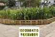 济源竹篱笆pvc护栏绿化带花园栏杆源头厂家（中闻资讯）
