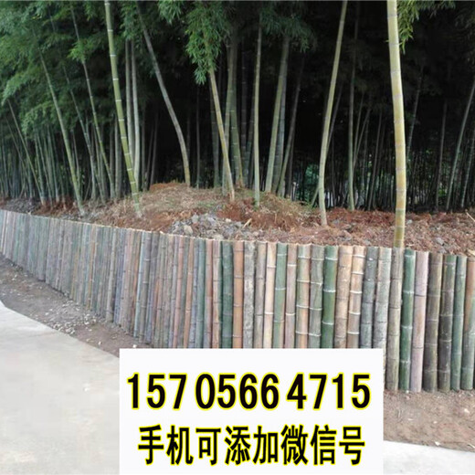 鹿城区竹篱笆竹栅栏竹片栅栏竹护栏塑钢护栏价格优惠