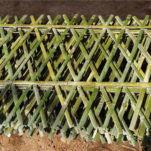 肥城竹篱笆碳化竹围栏竹子隔断竹子护栏价格