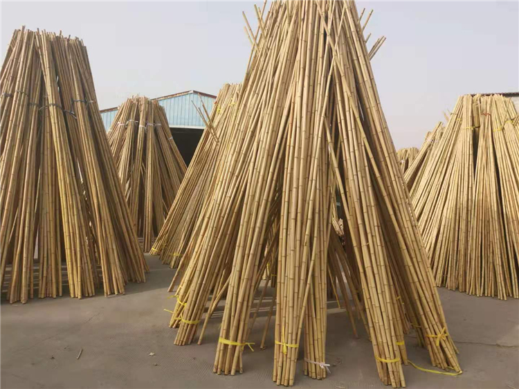 沧州 竹篱笆白色塑料栅栏庭院花园围栏竹护栏 生产