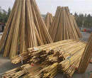 竹篱笆碳化竹围栏防腐木护栏竹护栏竹栅栏价格厂家