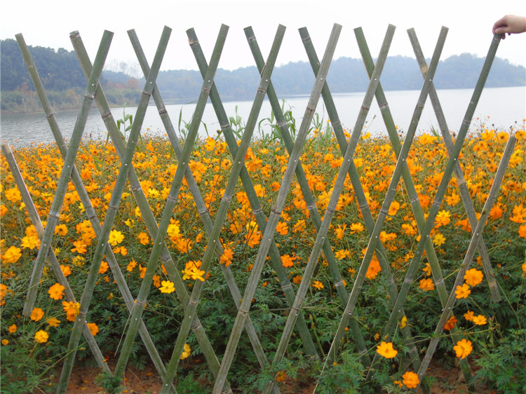 蓝山竹篱笆花园围栏料庭院花园菜园塑钢护栏质量好