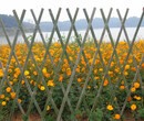 西塞山pvc护栏pvc庭院围栏花池围栏塑钢护栏图片