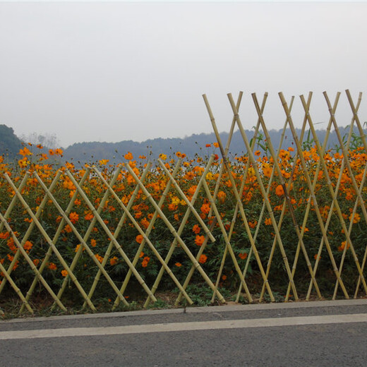 平阳pvc护栏花池护栏伸缩竹篱笆塑钢护栏