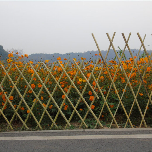 分宜pvc护栏竹片围栏菜园围栏墙塑钢护栏