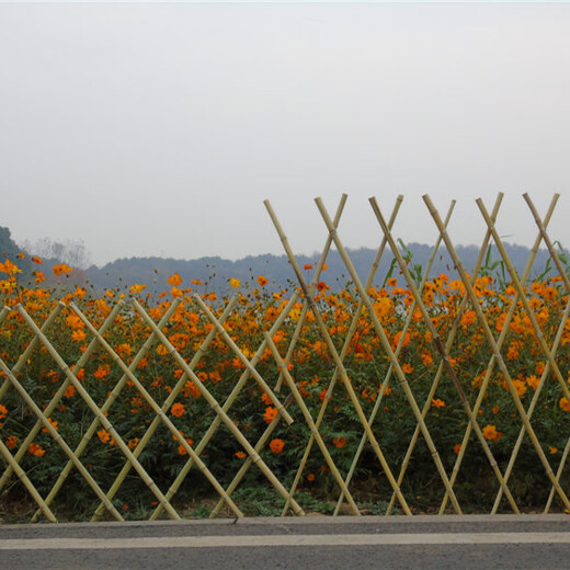 沙溪竹篱笆新农村护栏篱笆墙竹子护栏价格欢迎