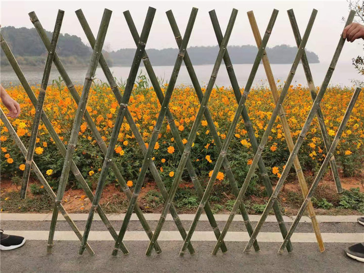 阳春竹篱笆绿化护栏花园围栏塑钢护栏价格低
