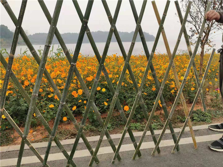 沁源竹篱笆花园围栏绿化栏杆塑钢护栏2020年厂家供应