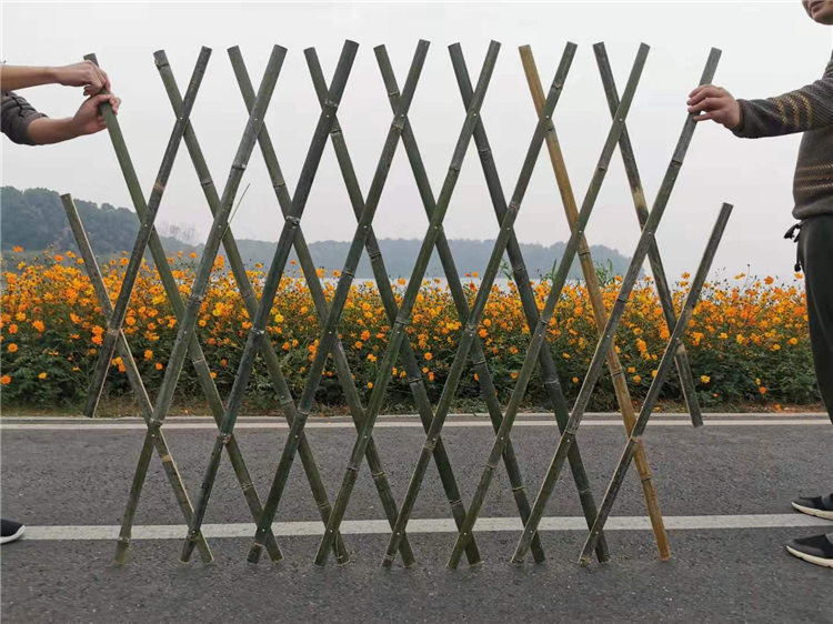 竹篱笆庭院装饰隔断护栏板竹护栏 竹栅栏价格