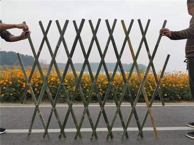 鹿城区竹篱笆新农村护栏竹栅栏围栏塑钢护栏百度贴吧