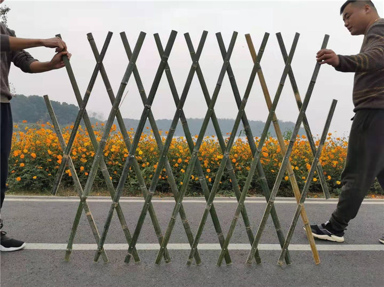 溧阳竹篱笆防腐护栏防腐竹栅栏竹篱笆塑钢护栏2020年厂家供应