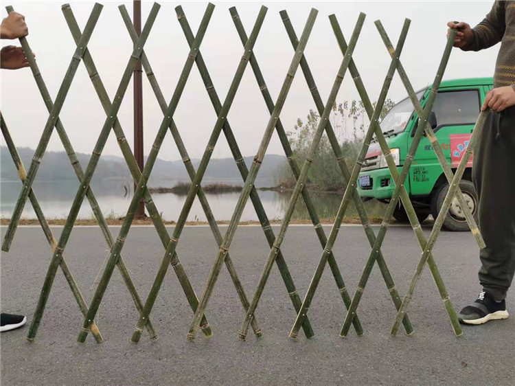 灵寿pvc护栏隔离栏园林木栅栏门塑钢护栏