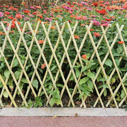 洛龙竹篱笆竹片围栏竹篱笆户外花园围栏塑钢护栏大自然的搬运工