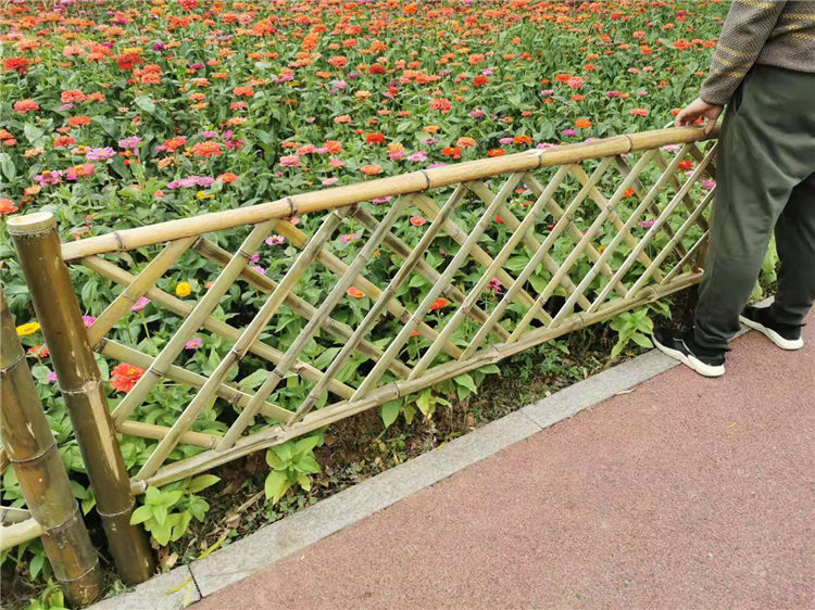 德化竹篱笆碳化竹围墙花坛塑钢护栏大自然的搬运工