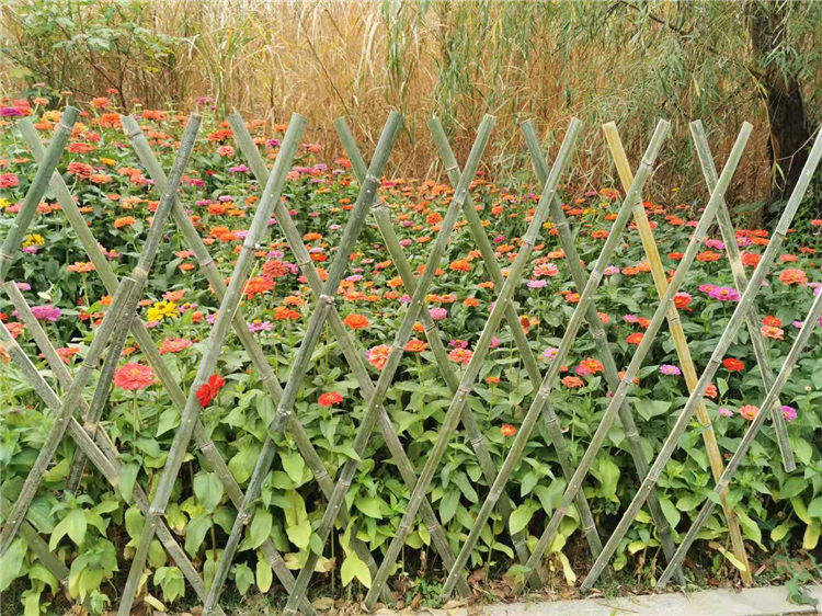 鹤壁 竹护栏塑料篱笆郑州中牟花园塑料围栏竹栅栏