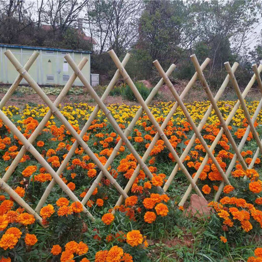 南乐竹篱笆防腐木料庭院花园菜园塑钢护栏大自然抱回家