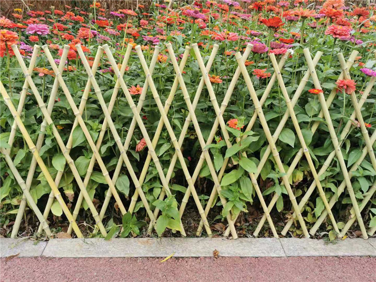 溧阳竹篱笆竹片竹栅栏塑钢护栏大自然的搬运工