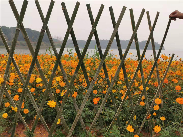 南岳区竹篱笆木护栏塑钢pvc护栏围栏塑钢护栏好选材用