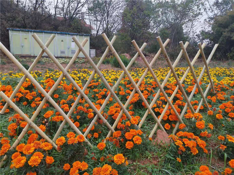 竹篱笆防腐碳化竹片篱笆花园围栏竹护栏 竹栅栏生产