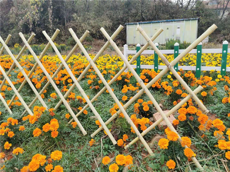 四平 竹篱笆塑料篱笆围栏庭院装饰隔断竹护栏 价格