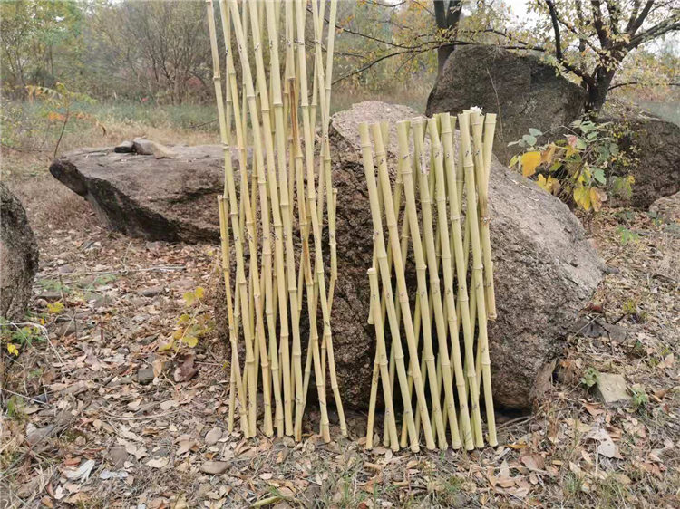 万柏林区竹篱笆美丽乡村护栏碳化竹栅栏竹子护栏当天发货